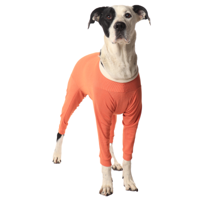 CobreVet BODYCOBRE Completo Unisex Cane e Gatto