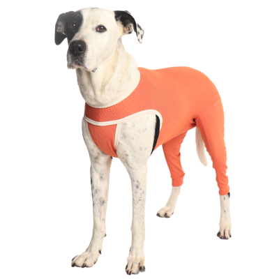 CobreVet BODYCOBRE Zampe posteriori Unisex Cane e Gatto