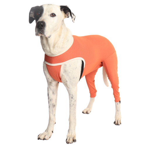 CobreVet BODYCOBRE Zampe posteriori Unisex Cane e Gatto