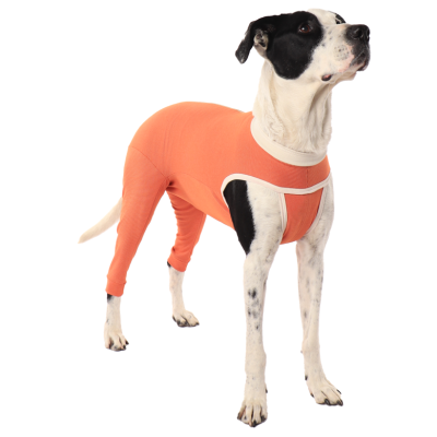 CobreVet BODYCOBRE Zampe posteriori Unisex Cane e Gatto