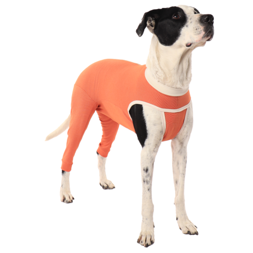 CobreVet BODYCOBRE Zampe posteriori Unisex Cane e Gatto