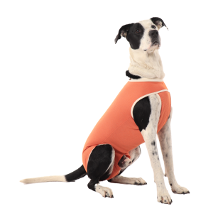 CobreVet BODYCOBRE Castrazione Cani Maschi