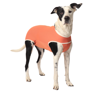 CobreVet BODYCOBRE Castrazione Cani Maschi 2