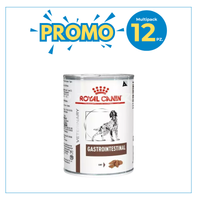 Royal Canin Cane Gastrointestinal Umido