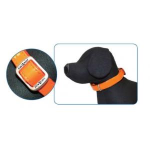 collare in similpelle glossy 2.6-4.0 x 15 cm arancio