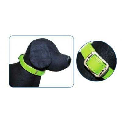collare in similpelle glossy 2.6-4.0 x 15 cm verde
