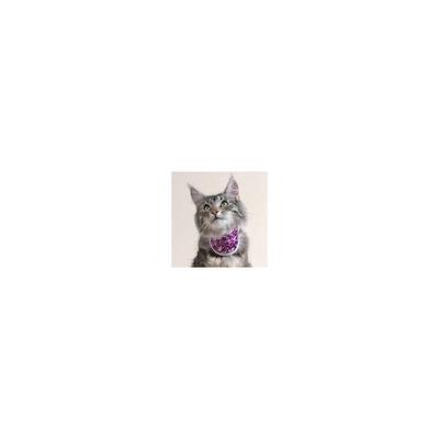 BALTO collare NECK cat blue classic 