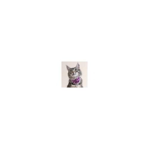 BALTO collare NECK cat blue classic 