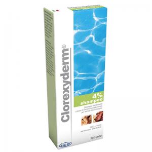 Shampoo Clorexyderm 4% 250 ml 2