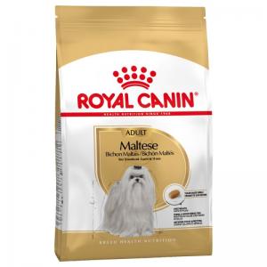 Royal Canin Cane Maltese Adulto
