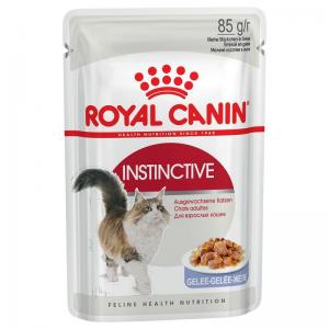 Royal Canin Gatto...