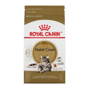 Royal Canin Gatto Maine Coon