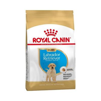 Royal Canin Cane Labrador Retriever Puppy