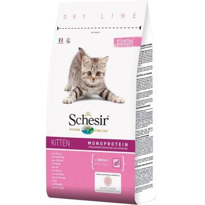 Schesir Gatto Kitten