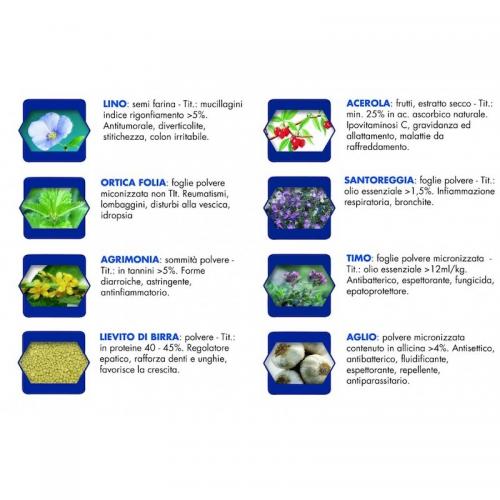 Vetline Cane Primi LD Agnello