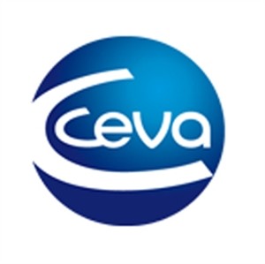 Ceva Vetem