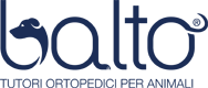 Balto Tutori